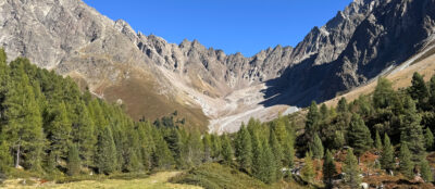 Alpen Panorama mit Wald und Felswänden