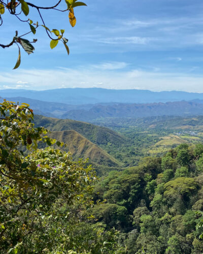 Regenwald Kolumbien Natur Panorama
