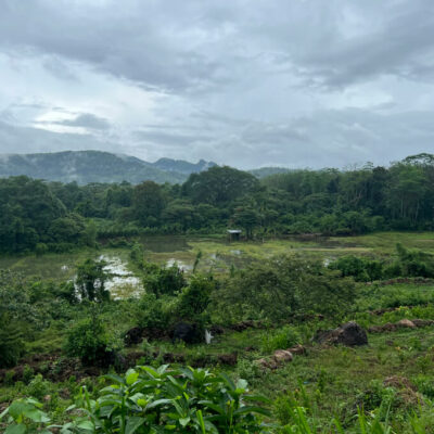 Natur bei Ratnapura, Sri lanka