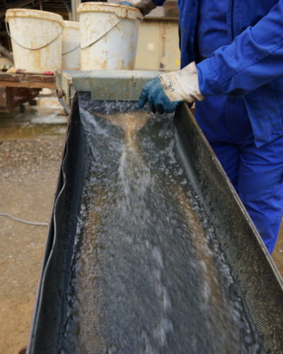 Elbe Gold und Elbe Silber wird als Nebenprodukt aus der Kieswerkproduktion gewonnen