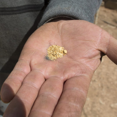 Faire Bergbaureisen nach Argentinien Minenmitarbeiter hat faires Gold in der Hand