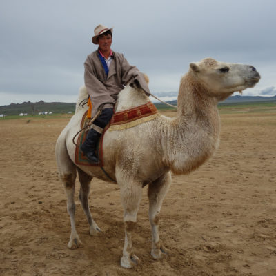 Mongole auf einem Kamel während der faire Bergbaureise von Jan Spille in der Mongolei