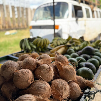 Kokosnüsse und VW Bus in Brasilien