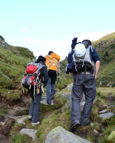 Wandern in den Alpen