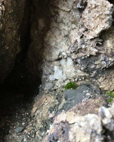 Fundstelle für Rauchqaurzund Bergkristall in den Alpen