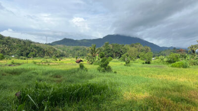 Ratnapura Sri Lanka Natur