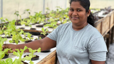 Minenarbeiterin der ECOMINE in Sri Lanka ind er Aquaponik Anlage