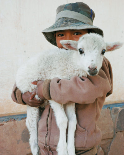Faire Bergbaureise in Peru Kind mit Ziege im Arm
