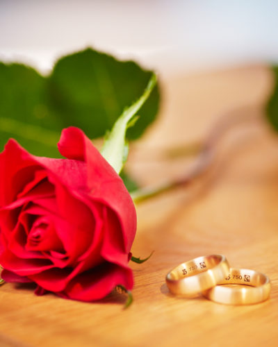 goldene trauringe aus fairtrade gold liegen neben einer roten rose aug dem tisch