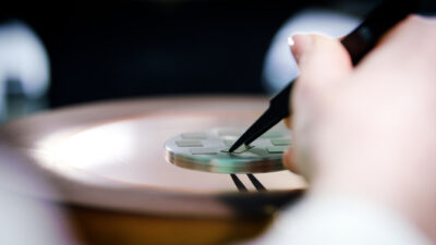 Der Seed eines Lab grown Diamanten wird eingesetzt