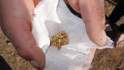 Goldwäscher aus Argentinien zeigt Naturgold in Form von Goldnuggets