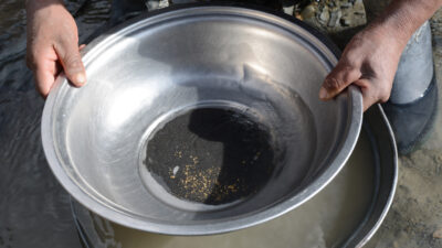 Goldnuggets werden aus dem Fluss gewschen und in einer Waschschüssel gezeigt