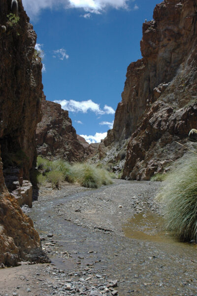 Flussbett in Argentinien in dem Naturgold gefunden wird